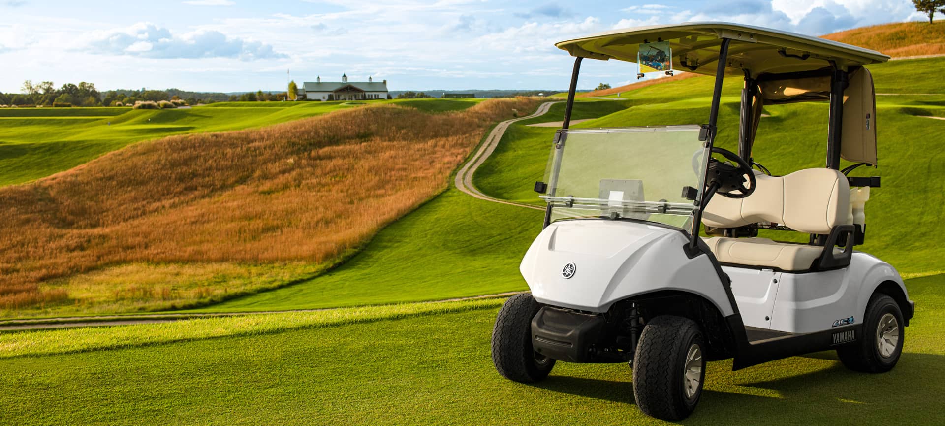 Personal Golf Cart, Commercial Golf Carts