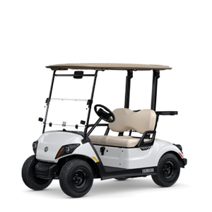 PERSONAL TRANSPORTATION